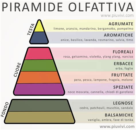 piramide olfattiva profumi ysl|Piramide olfattiva Y Eau de Parfum di Yves Saint Laurent.